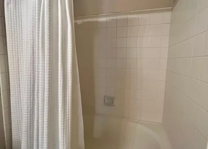 Gated Heated Pool Gym Near Zoo * Phoenix